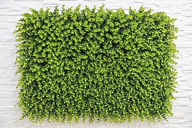 暴雪正开发一个未公布的PvP FPS游戏